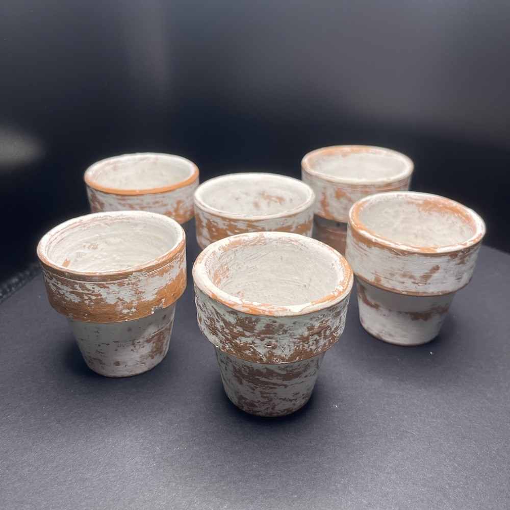 Pier 1 Garden Pot Napkin Rings